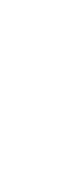 Àrtic Gelat Artesà